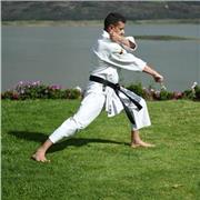 Instruccion de Karate para niños y adultos